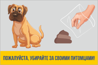 Убирайте за своими питомцами